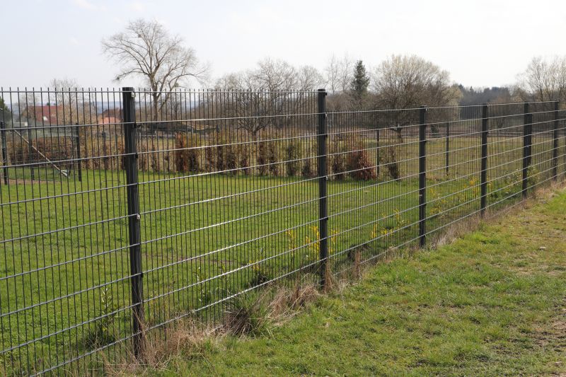 Chicken Wire Fencing