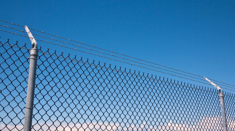 Chicken Wire Fencing