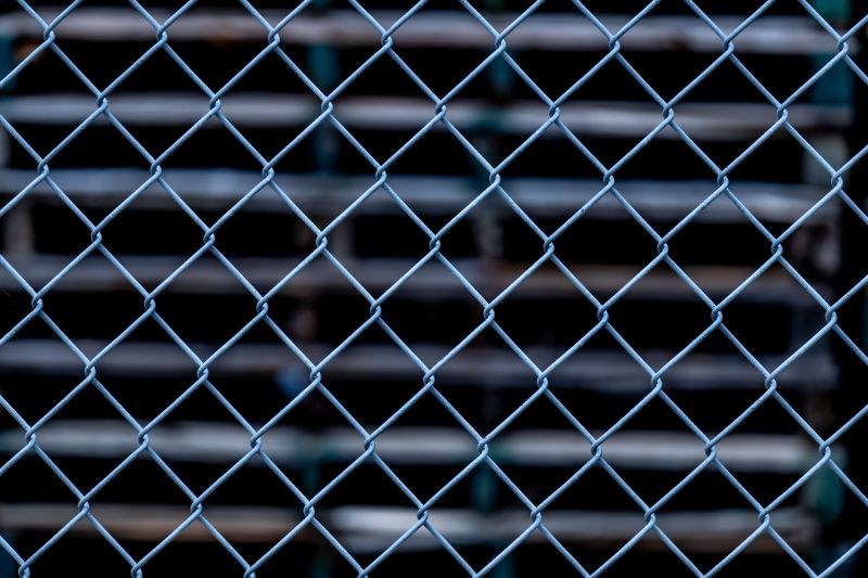Chicken Wire Fencing