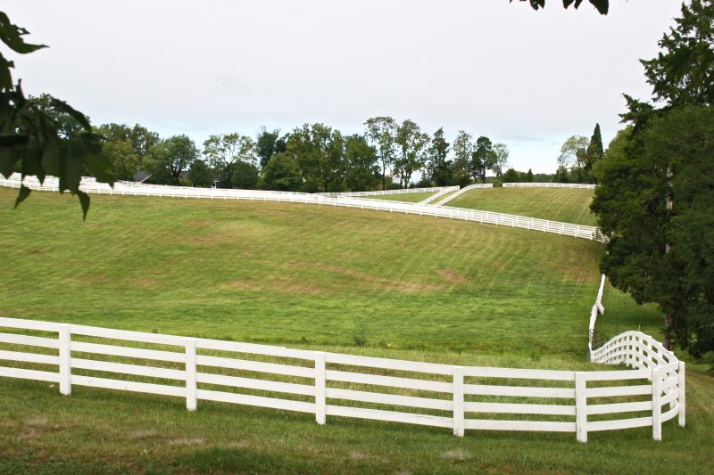 Cost of Chicken Wire Fencing — Cost of Chicken Wire Fencing